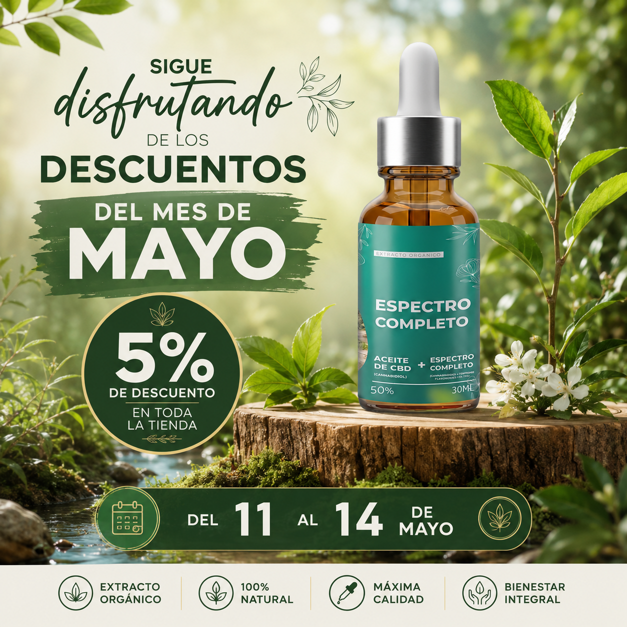 promo 11 may